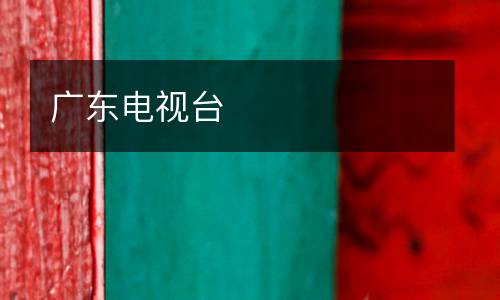 廣東電視臺