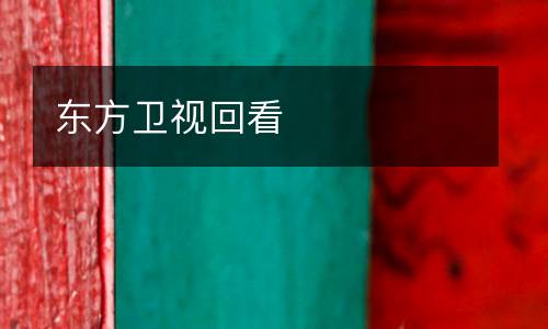 東方衛(wèi)視回看