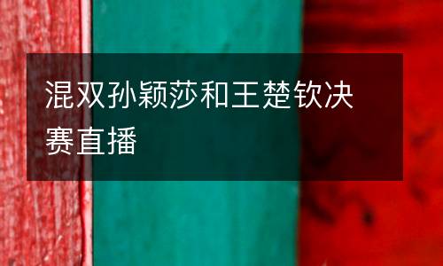 混雙孫穎莎和王楚欽決賽直播