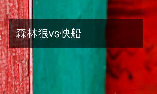 森林狼vs快船