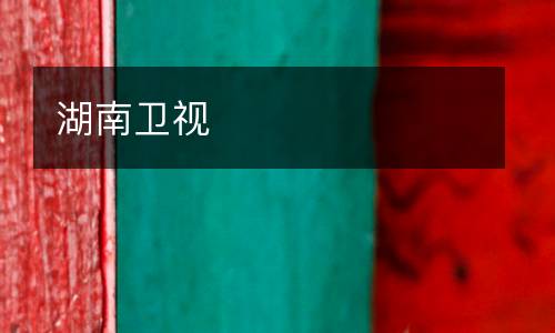 湖南衛(wèi)視