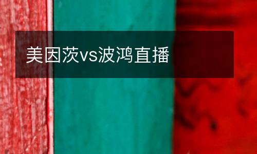美因茨vs波鴻直播